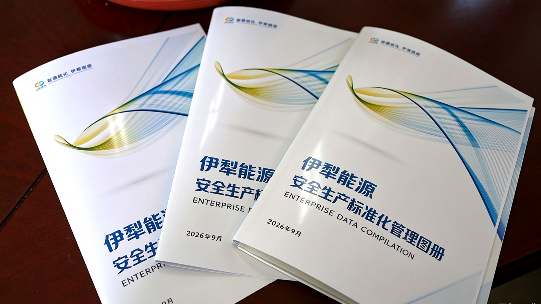 山东能源集团伊犁能源:让标准化从“盆景”变“风景”