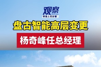 盘古智能高层变更 杨奇峰任总经理