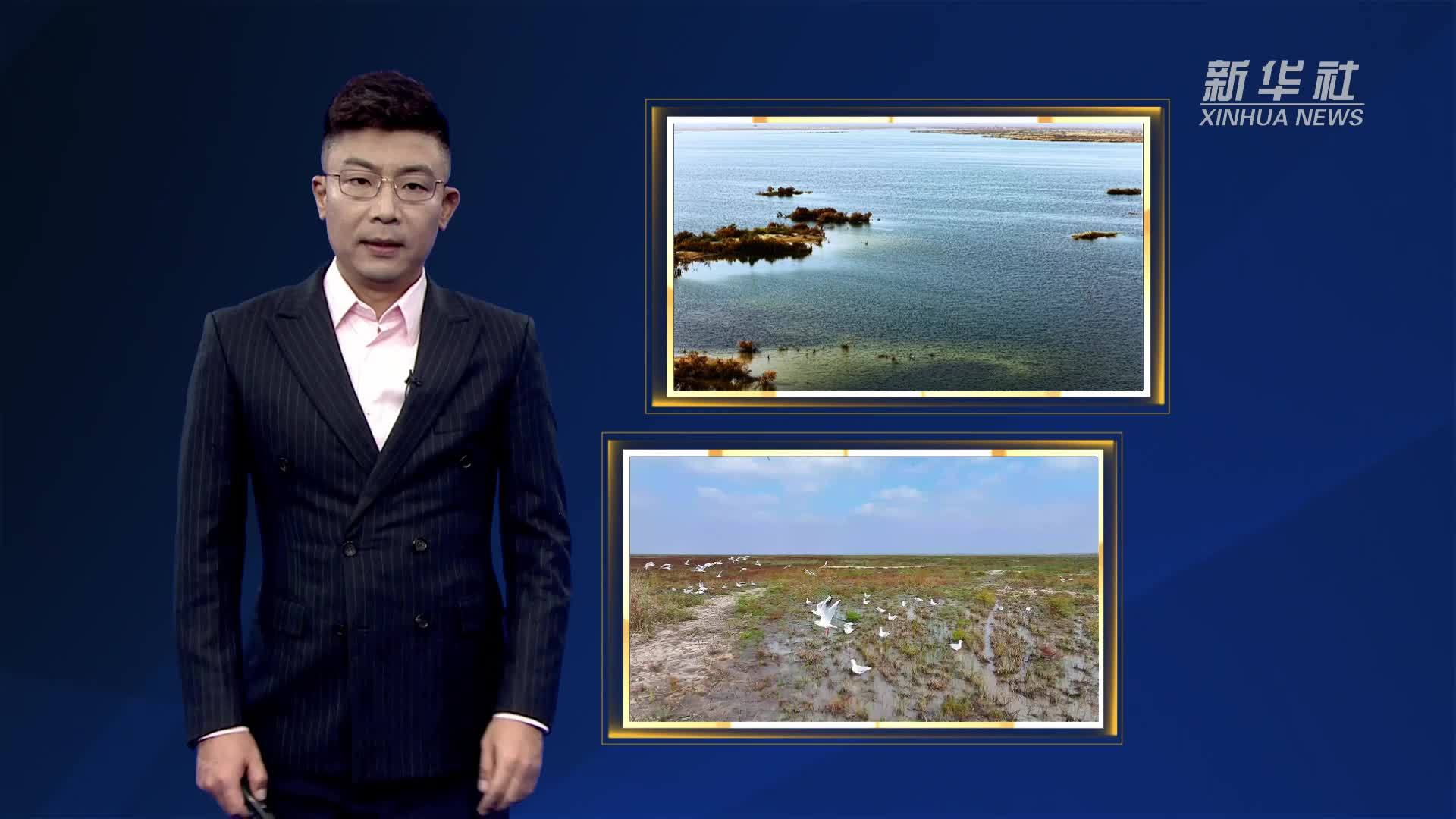 瞰中国｜湿地秋色 候鸟翔集