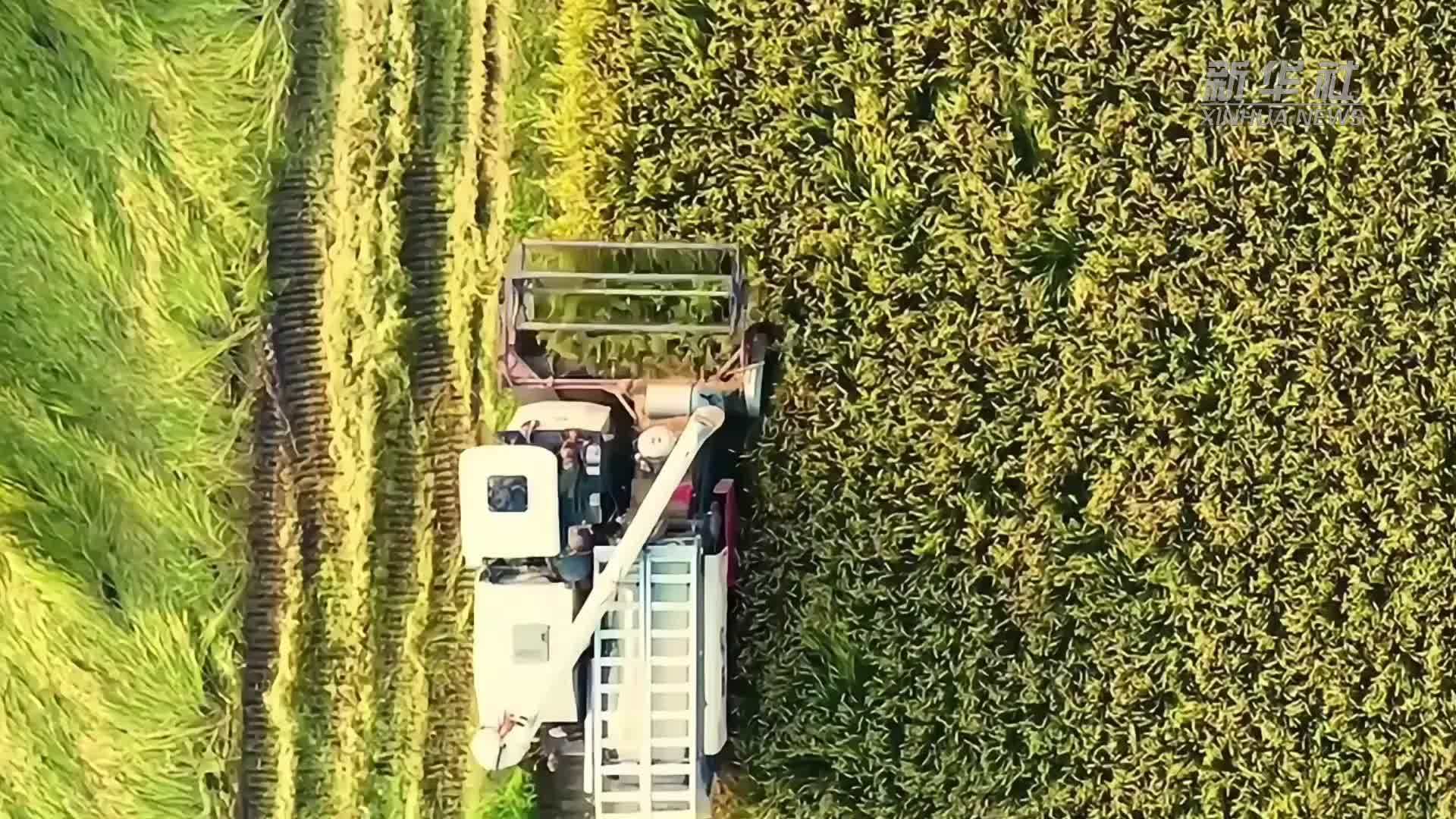 微视频｜清风正气暖万家