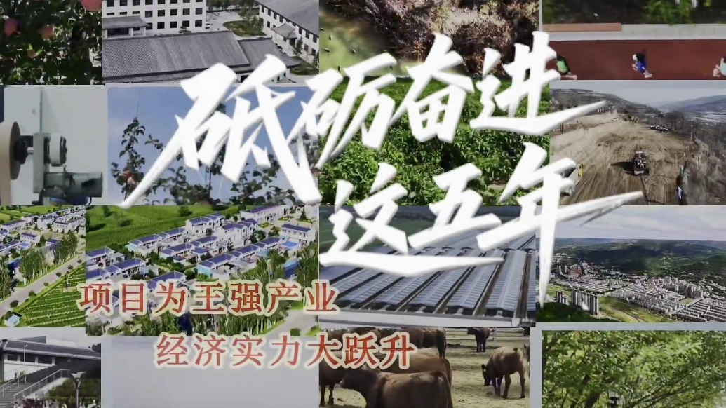 甘肃灵台这五年有多“经”彩　势头正劲“项”前冲