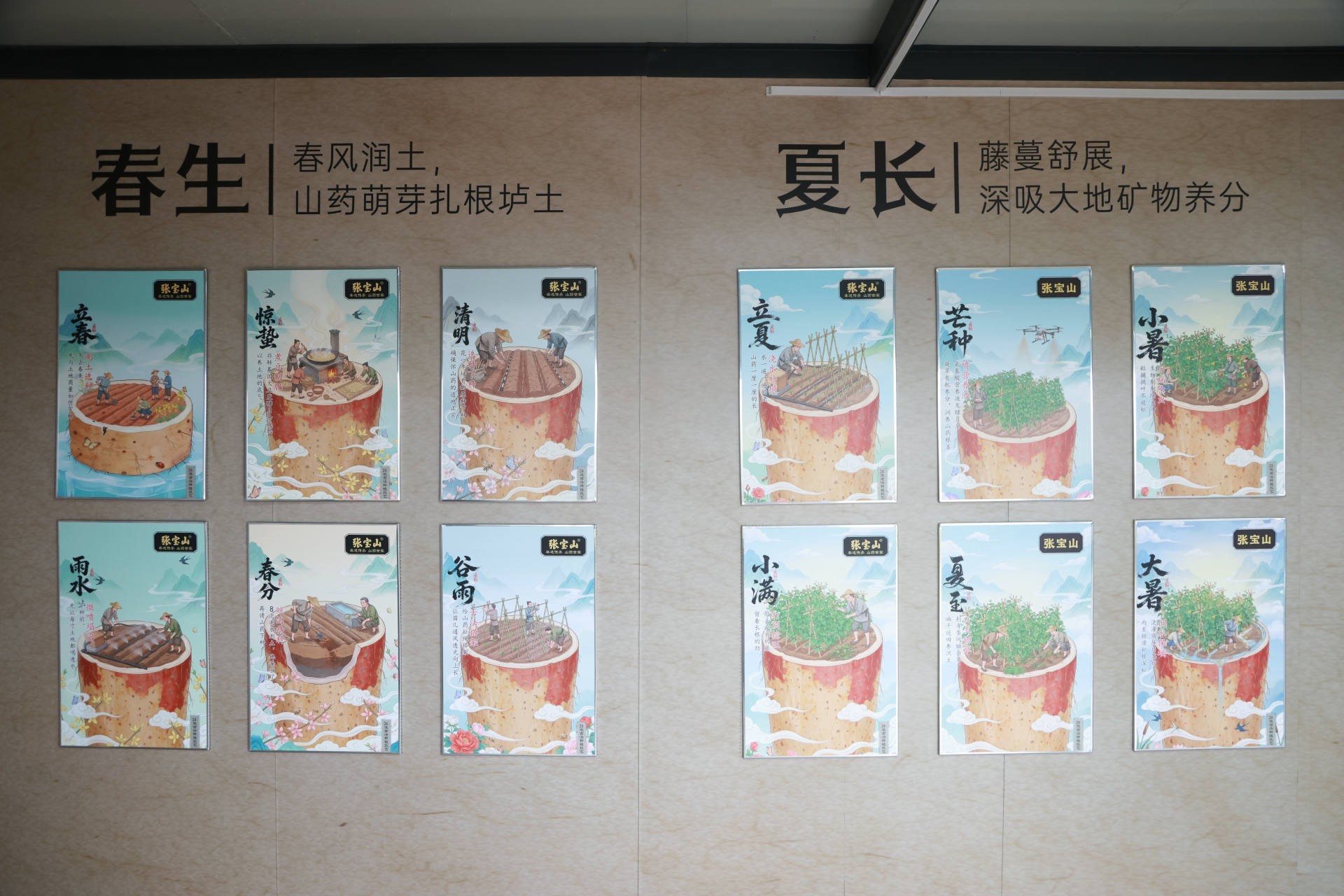 一场“山药奇遇记”，带你沉浸式感受二十四节气里的农耕农趣