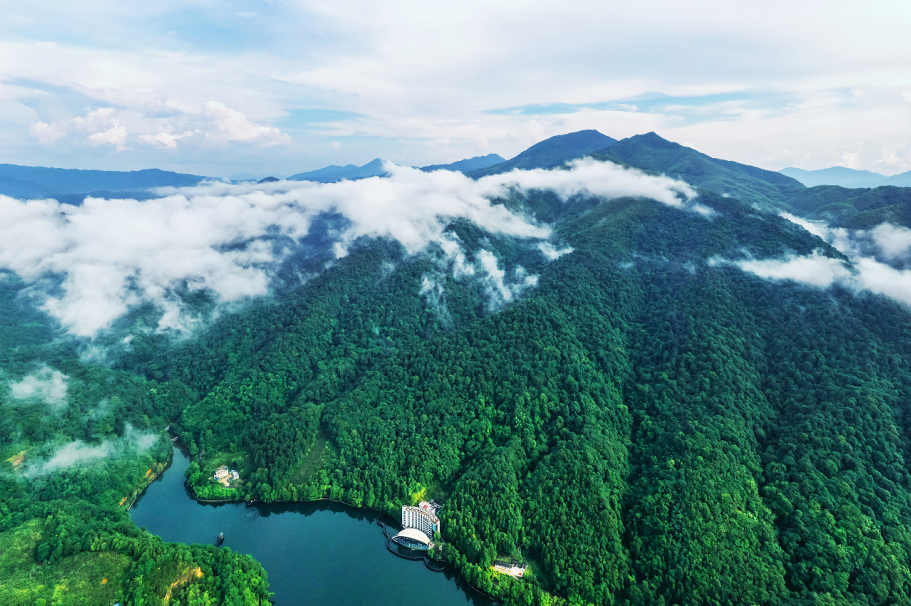 阳明山国家森林公园 图源:文明江西