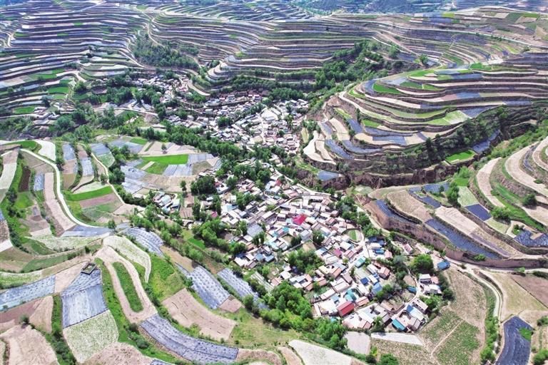 宕昌拉路梁万亩中药材基地