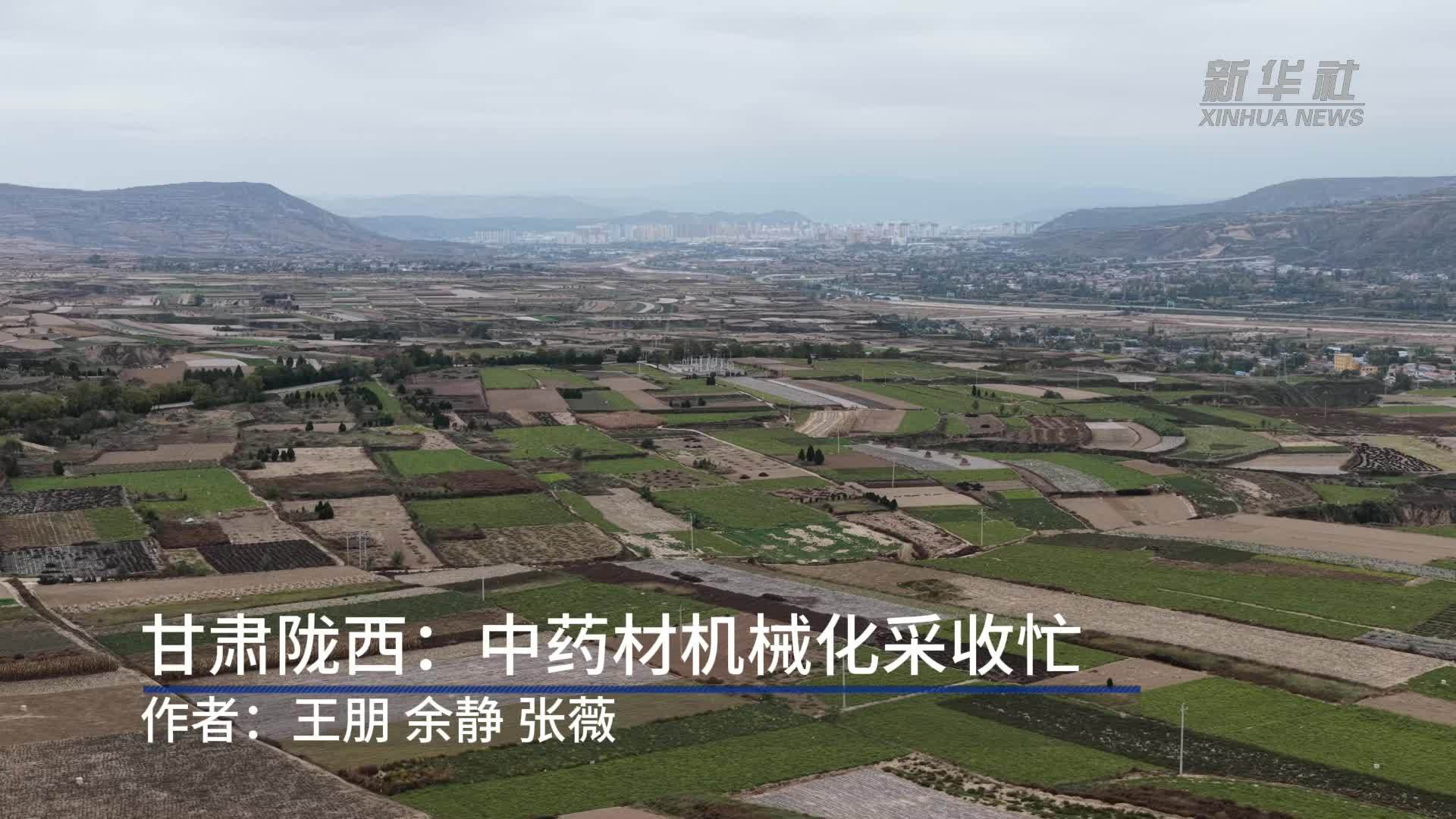甘肃陇西：中药材机械化采收忙