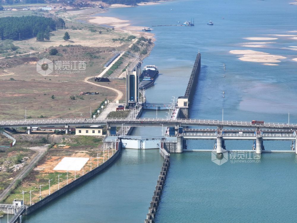 2026年10月23日,江西赣江航道泰和段,货运船舶等候通过泰和航电枢纽大坝船闸。