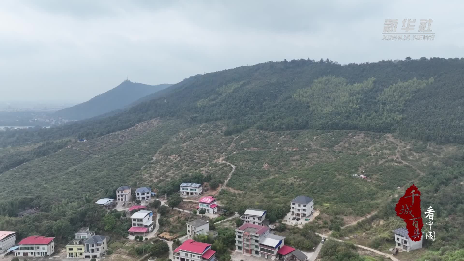 千城百县看中国｜湖南祁阳：“空中转运”助鲜果下山