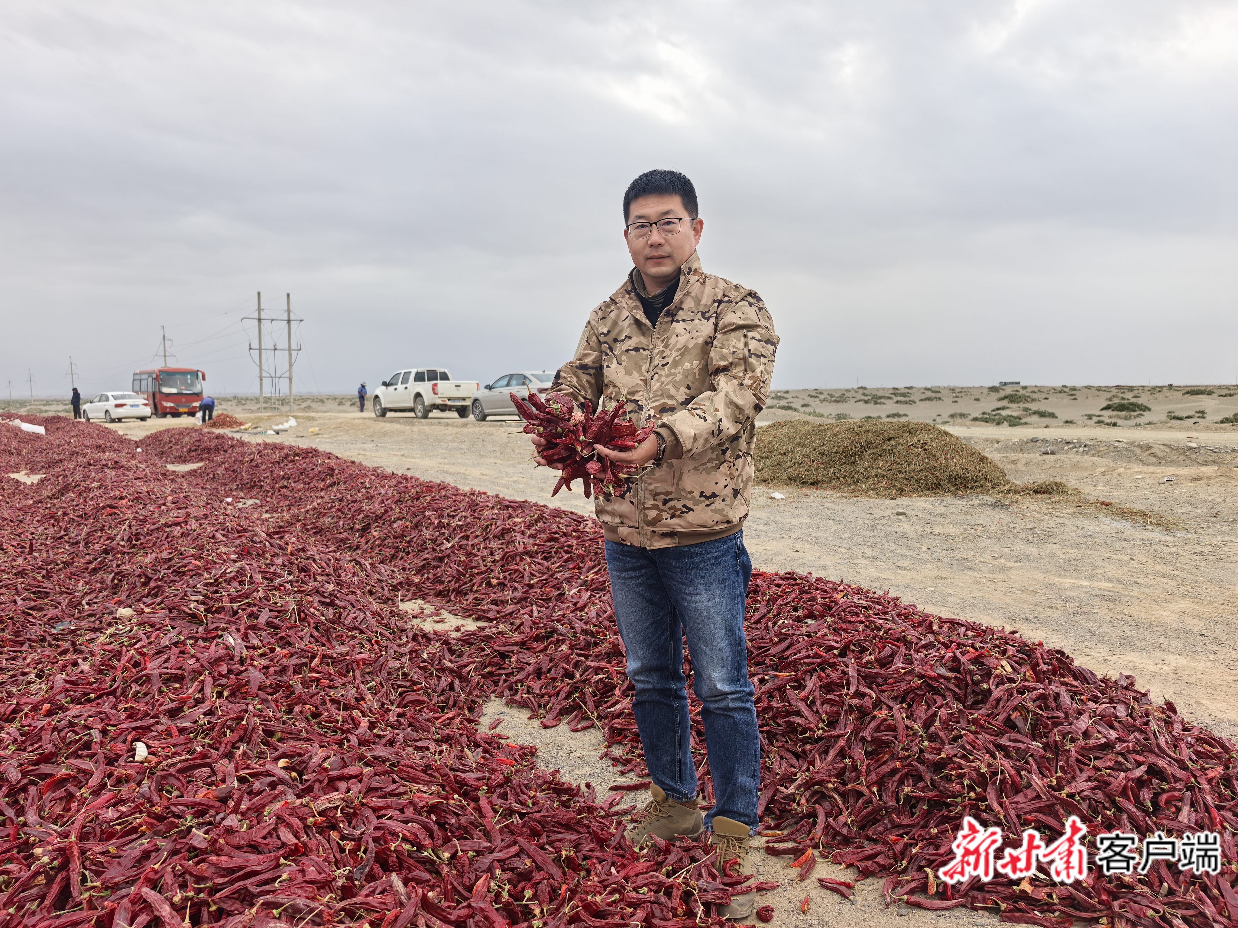 青岛强大食品有限公司副董事长张旭涛查看辣椒　新甘肃&middot;甘肃日报记者　王朝霞　摄