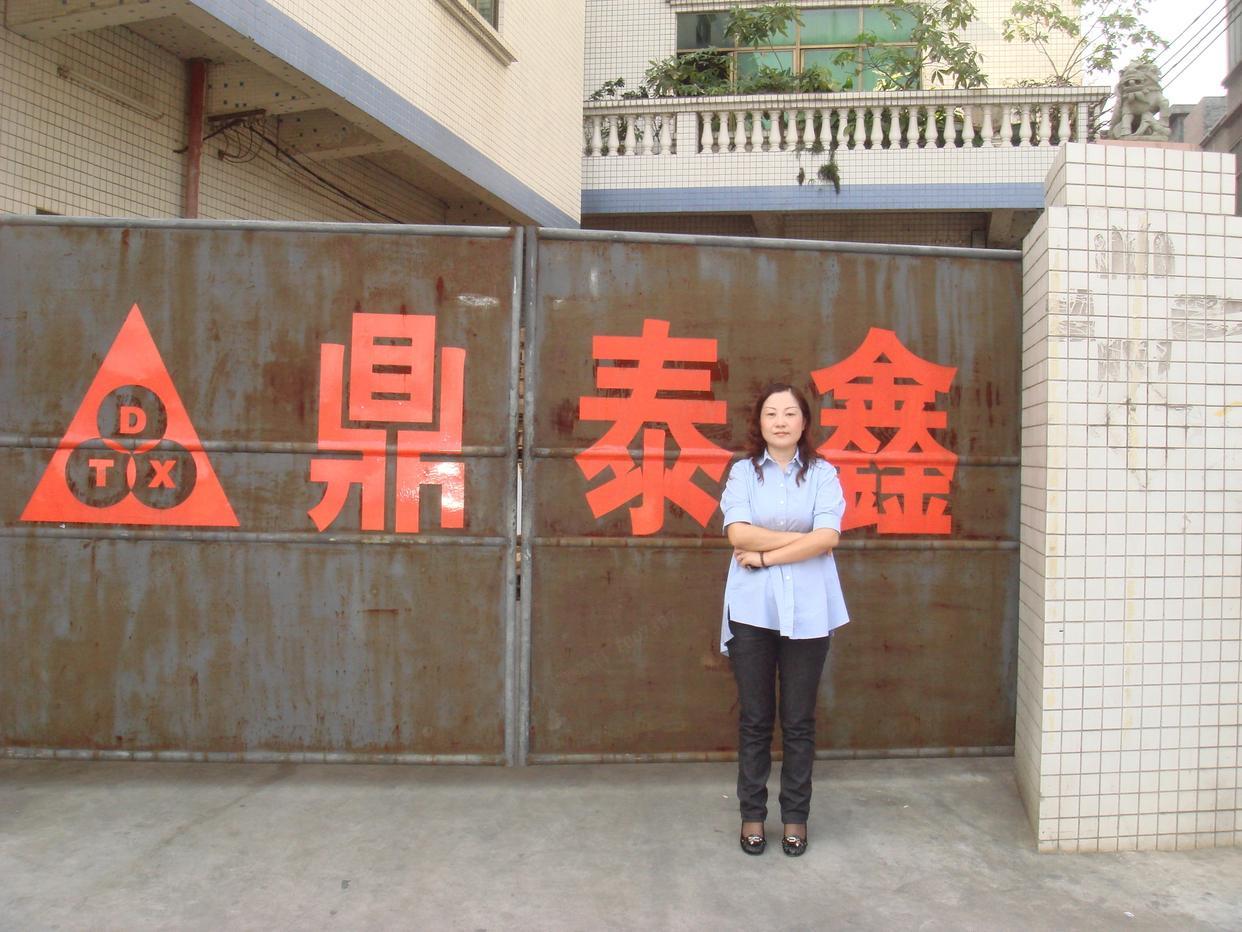 图为2008年王馨在鼎泰鑫老厂区门口的留影 图源：新华社