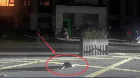 男子酒后情绪失控从7楼扔铁锅 安徽一男子酒后与家人发生矛盾,情绪失控