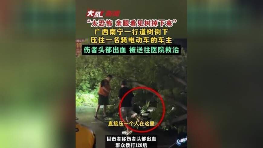 “太恐怖 亲眼看见树掉下来”广西南宁一棵行道树倒下 压住一名骑电动车的车主 伤者头部出血 被送往医院救治