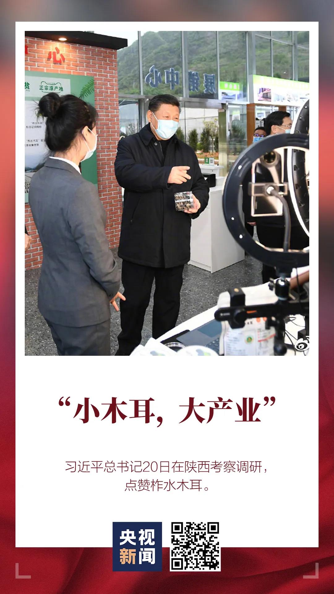 习近平 电商在农副产品销售方面大有可为 凤凰网