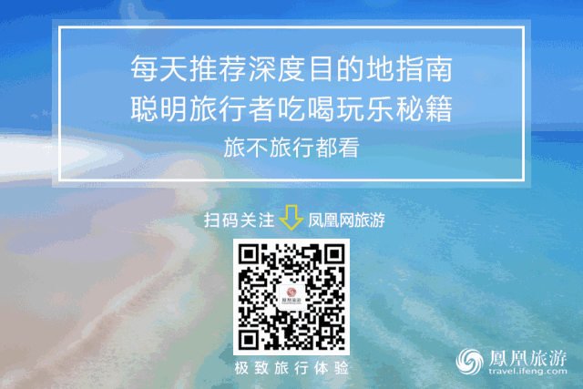 那些想尽办法回国的留美学生们,现在都怎么样了 | 战疫中的旅游人