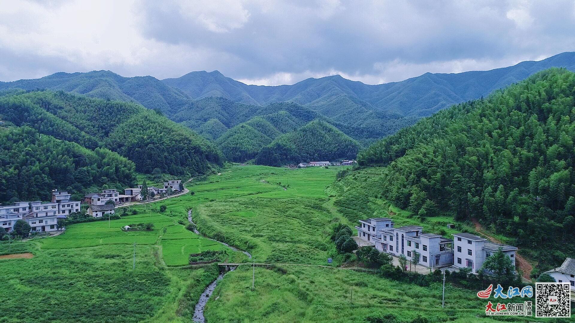 芦溪县两家5A乡村旅游图片