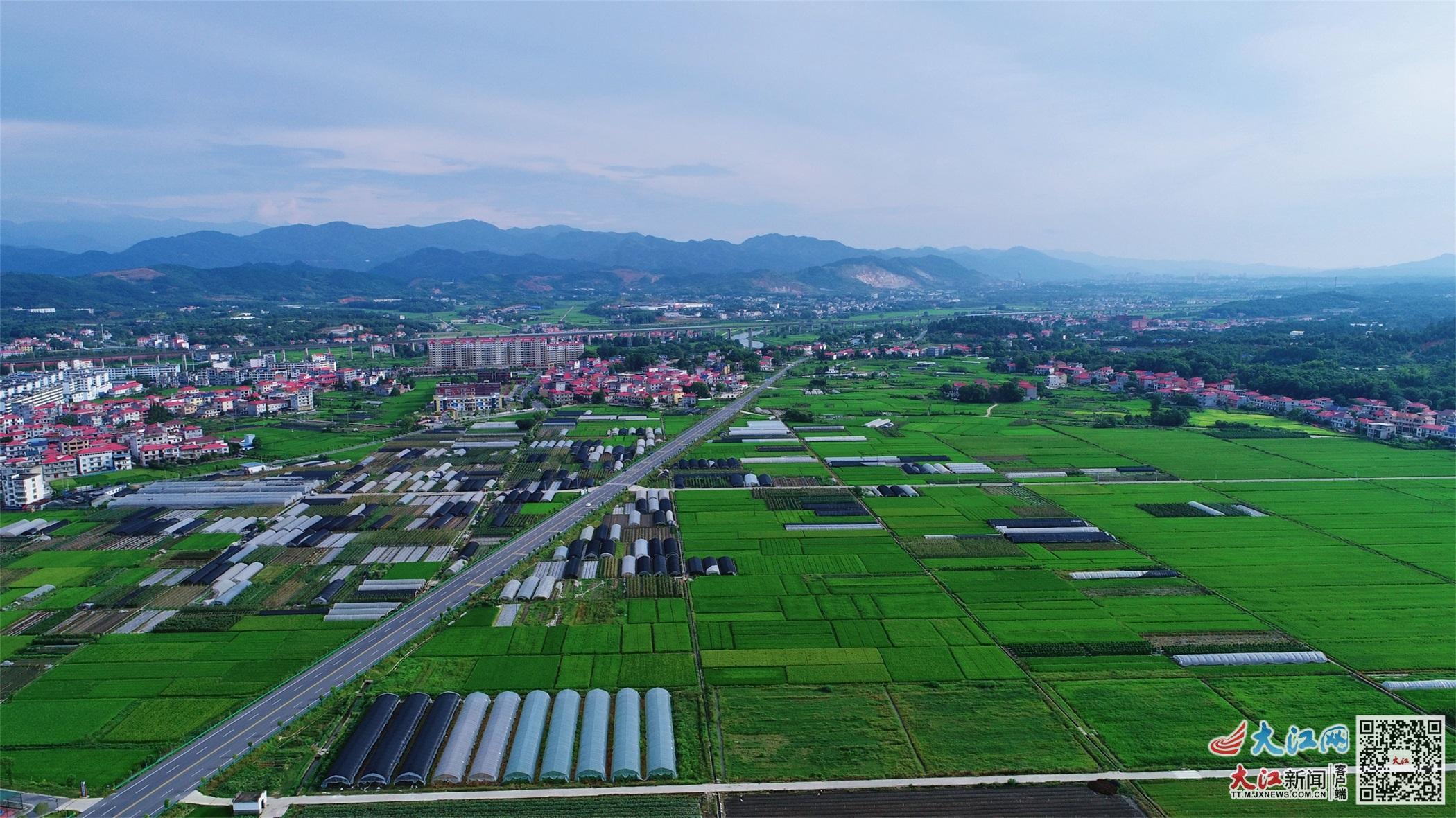 硕果挂满枝头;一个个美丽乡村风光旖旎,游客流连忘返…芦溪县积极