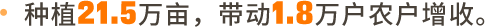 子洲黄芪