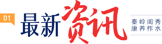 最新资讯