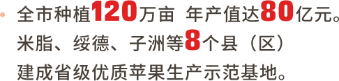 榆林山地苹果