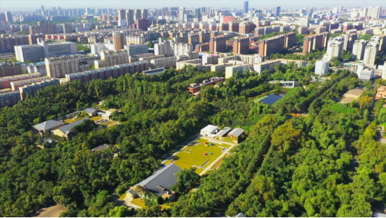 长春南岭水文化生态园航拍。