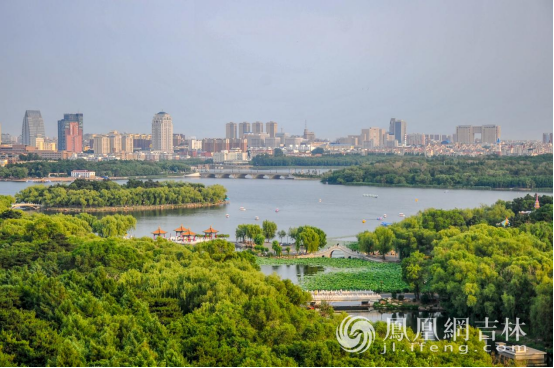 长春南湖公园草木茂盛，尽享清凉。凤凰网吉林 梁琪佳摄