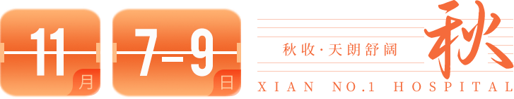 11月7-9日