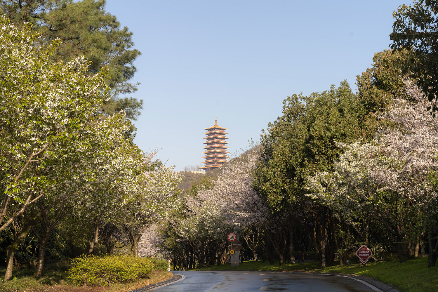 牛首山活动3