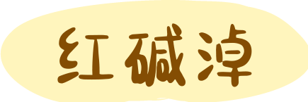 红碱淖