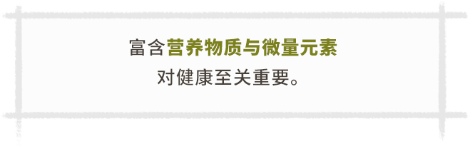 神木黑豆