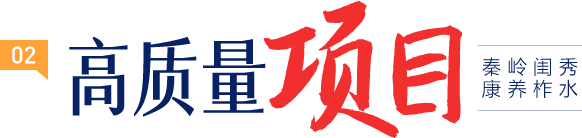 高质量项目