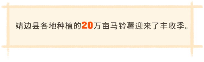 靖边马铃薯