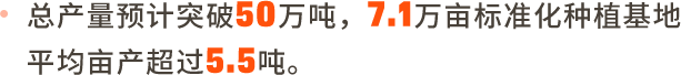 靖边马铃薯