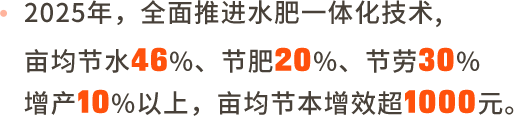 靖边马铃薯