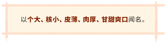 清涧红枣
