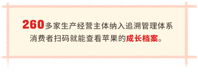 榆林山地苹果