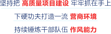 坚持把高质量项目建设牢牢抓在手上 下硬功夫打造一流营商环境 持续锤炼干部队伍作风能力