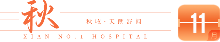 11月