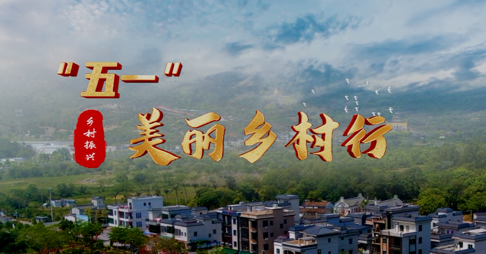 【凤凰专题】海丰县“五一”美丽乡村行_凤凰网