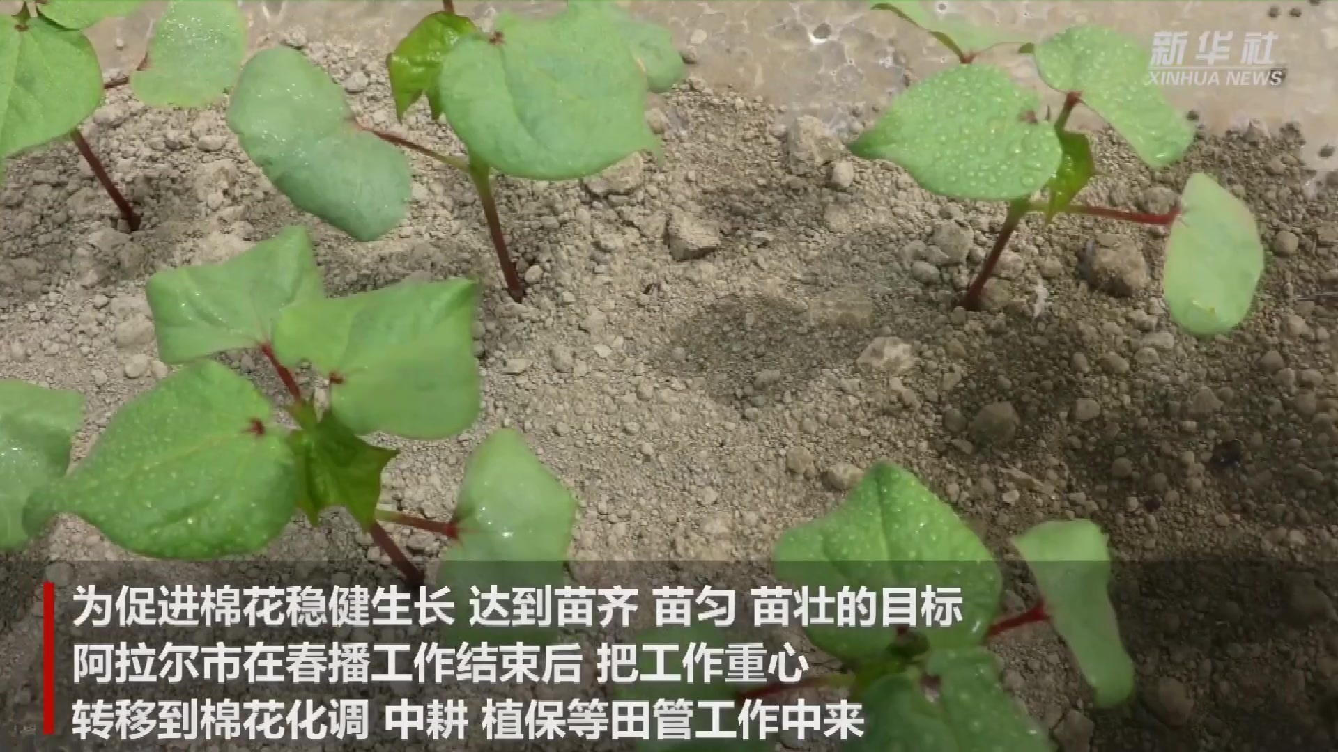 绚丽的阿拉尔汗的视图